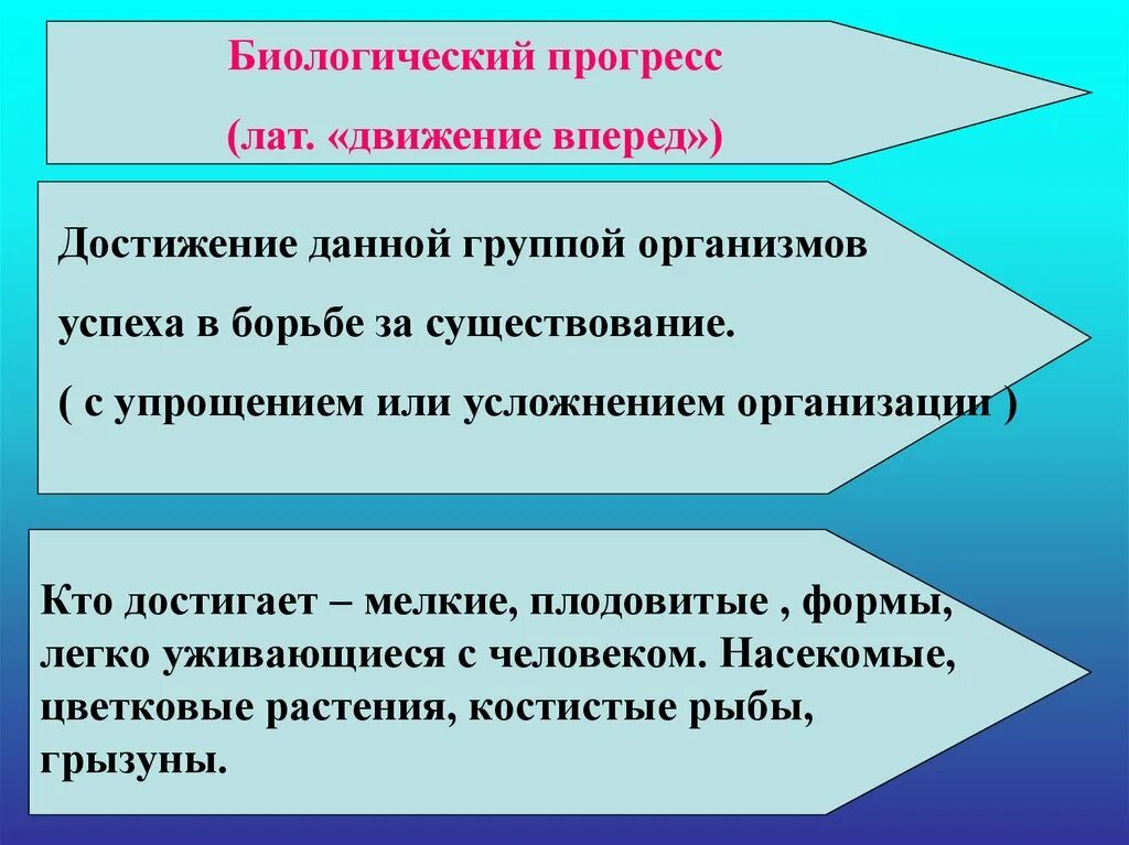 Биологический прогресс цветковых. Презентация на тему биологический регресс и Прогресс. Биолог Прогресс. ЗУБР биологический Прогресс или регресс. Упрощение Прогресс или регресс.