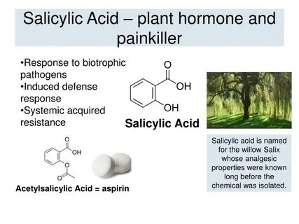 Salicylic acid