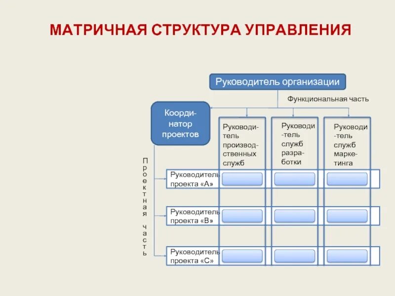 Матричная организационная структура управления. Матричная организационная структура управления персоналом. Матричная организационная структура управления схема. Матричная структура управления предприятием схема. Функциональные органы учреждения