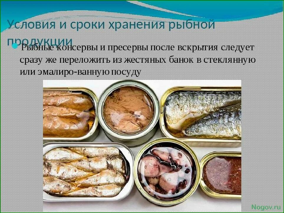 Рыба без холодильника сколько. Условия и сроки хранения рыбы. Условия хранения рыбной продукции. Условия и сроки хранения рыбных консервов. Рыбные консервы и пресервы.