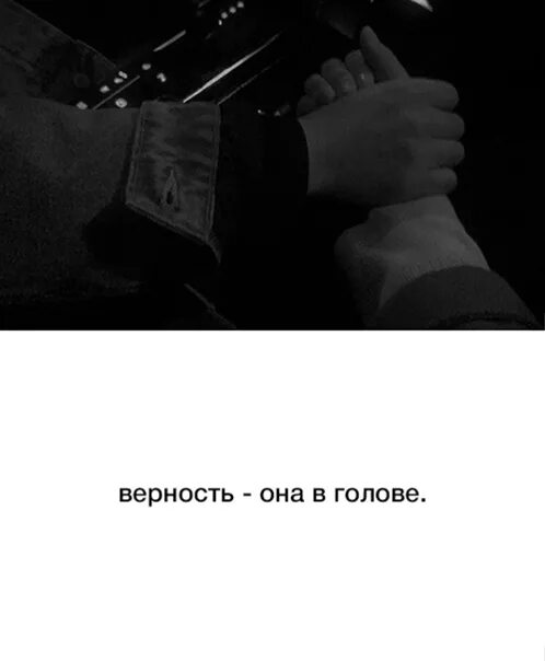 Сила в верности а вы все слабы. Верность она в голове. Цитаты про верность. Холодильник гейзенберга шредингера. Шутки про шредингера.