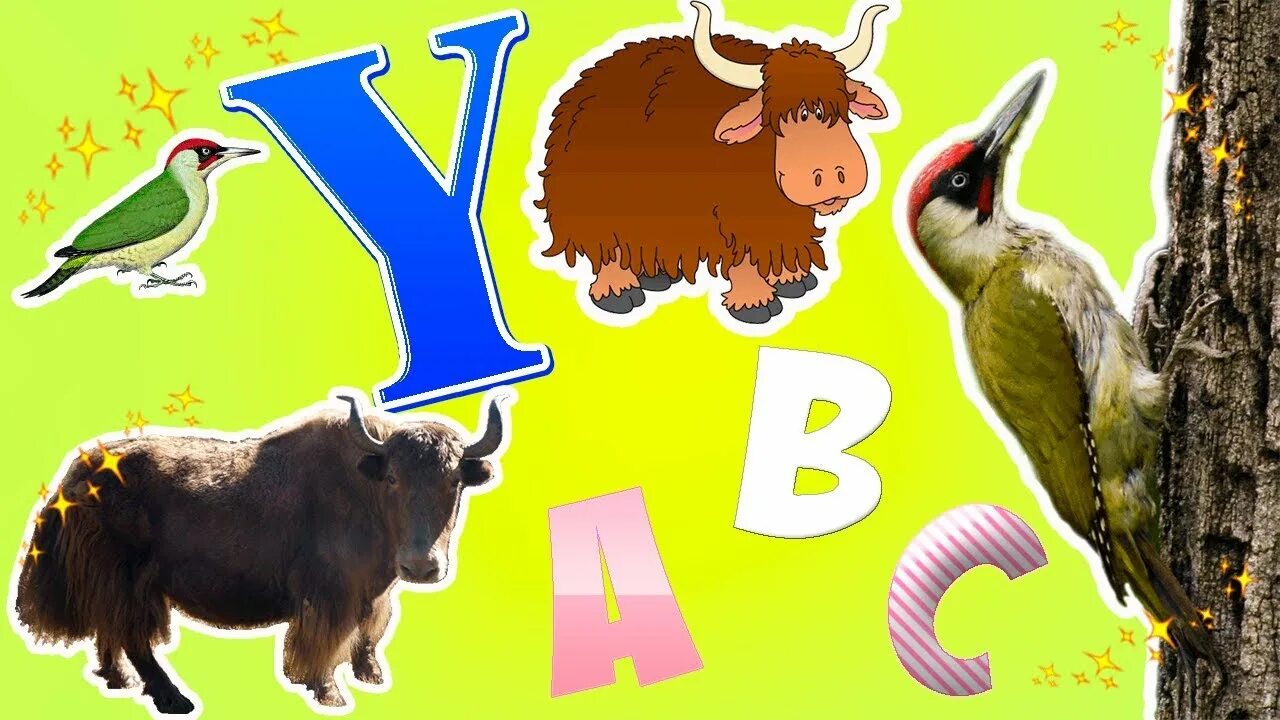 Abc animals. Abc animals alphabet. learn alphabet with cartoon and real animals. abc animals song for kids. abc animals cartoon and real life.