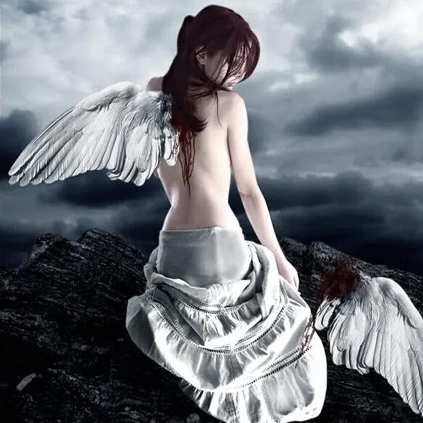 девушка с крыльями птицы. несчастный ангел. ангел со спины.