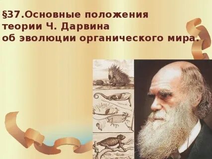 Биология 9 класс дарвин