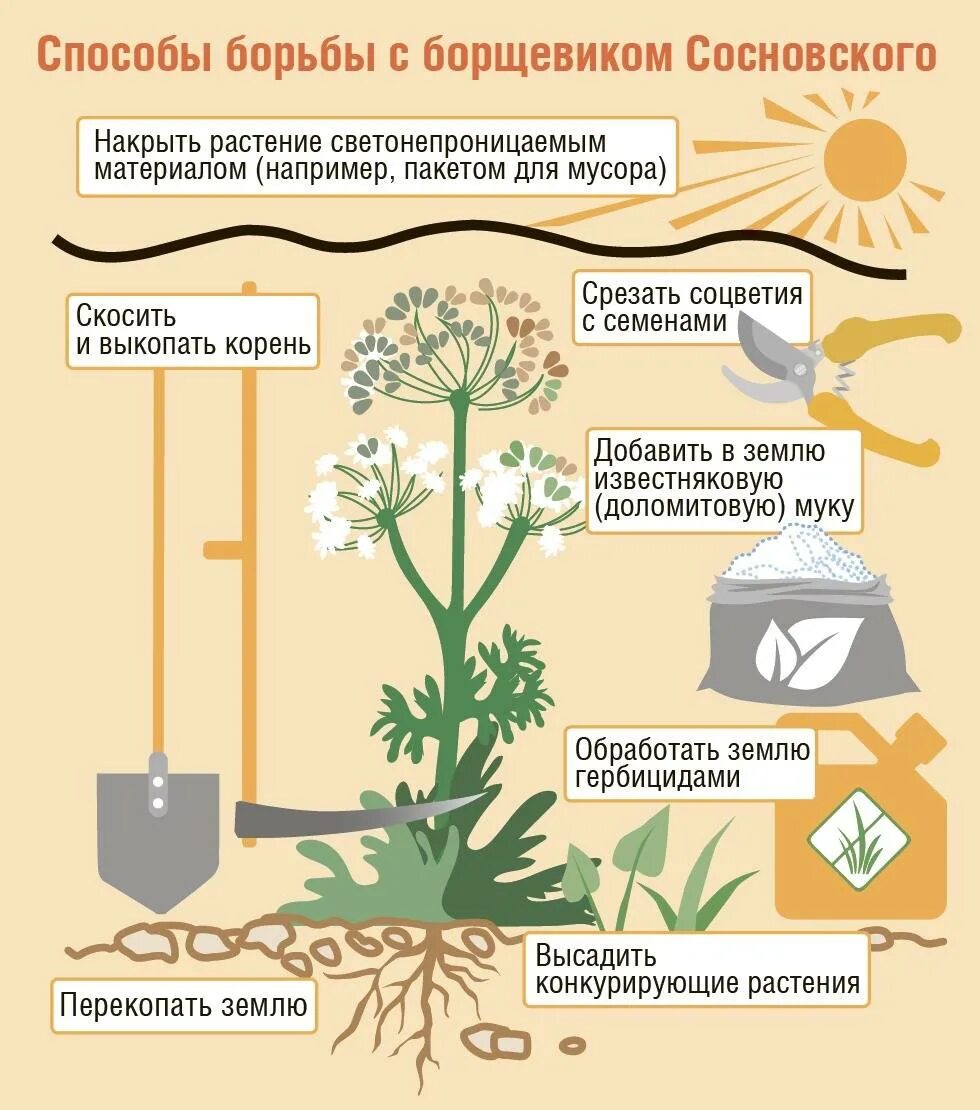 Растения которые разрушают