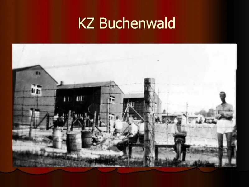 Бухенвальдский лагерь. Бухенвальд Бухенвальдский Крепыш. Бухенвальдский Крепыш фото.