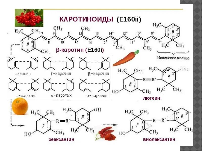 Каротиноиды структурная формула. Структурная формула каротиноидов. Бета каротин формула химическая. Бета каротин структура.