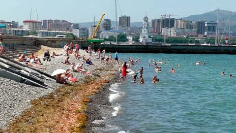 Купаться в новороссийске