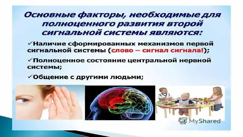 Развитие сигнальных систем у ребенка. Сигнальная система человека и животных. центры второй сигнальной системы. вторая сигнальная система человека это. центры первой сигнальной системы.