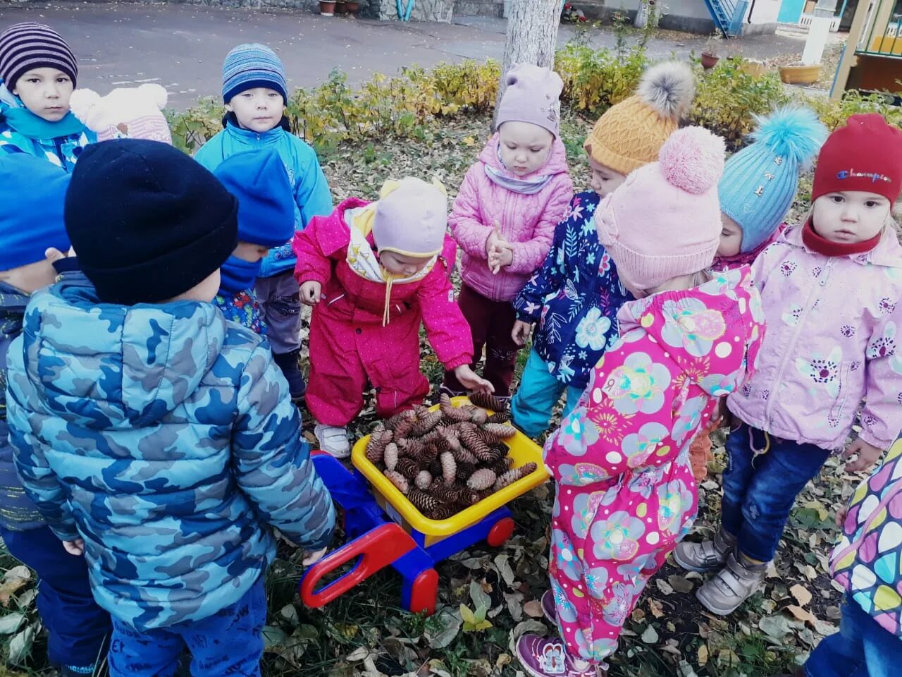 День добрых дел для детей. Жобрый дела в деском аду. Добрые дела в детском саду. Добрые дела в детском саду старшая группа. Сад добрых дел.