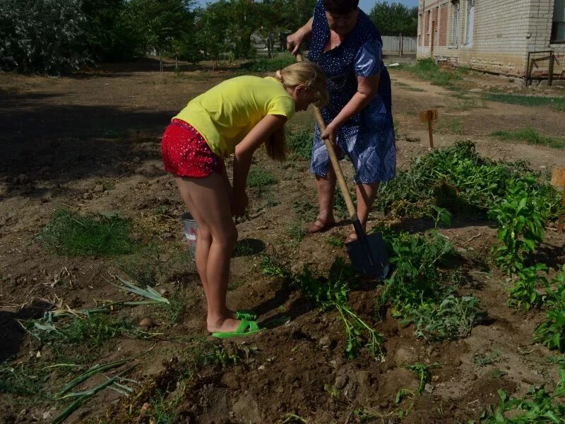 Копать картошку можно. Копать картошку. 4 человека копают огород. на огороде капает дочь. школа копала.
