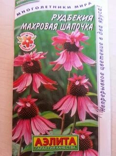 Семена эхинацея махровая