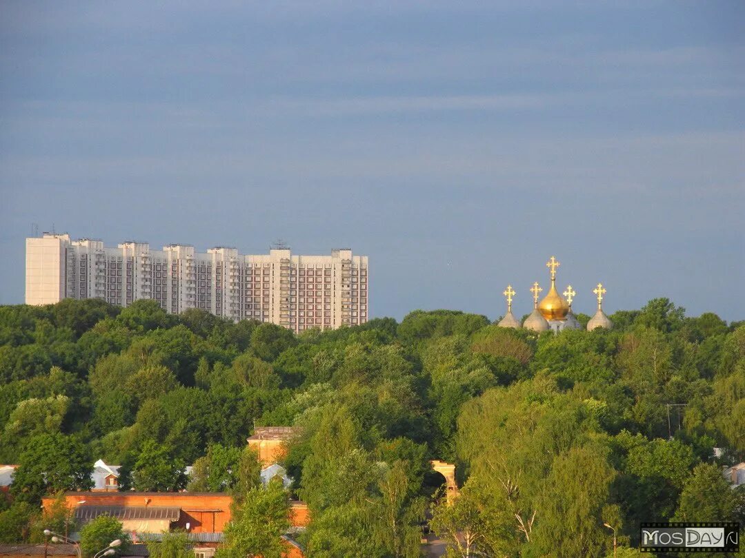 Стоит ясенево. Ясенево Битцевский лесопарк. Холмы Ясенево. Усадьба Ясенево. Ясенево лес.