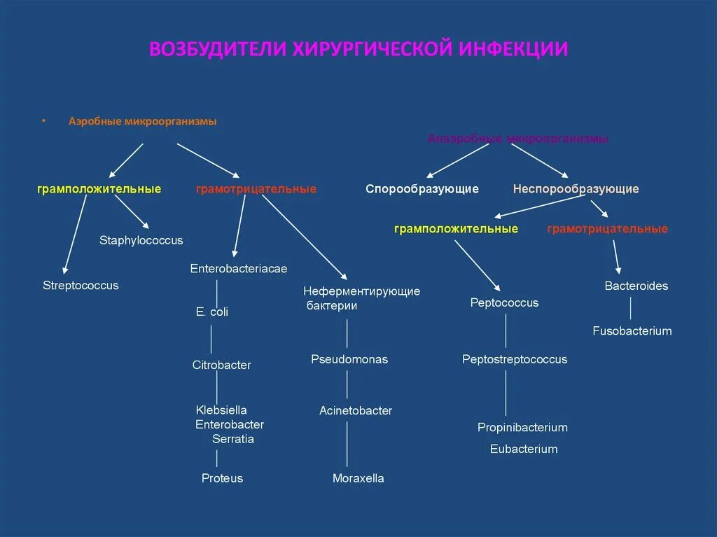 Общая гнойная инфекция. Перечислите возбудителей хирургической инфекции. Общие признаки возбудителей хирургической инфекции. Перечислите основных возбудителей острой хирургической инфекции.. Классификация анаэробной инфекции хирургия.