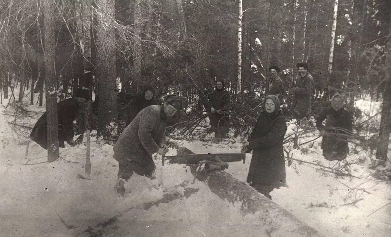 Лесозаготовки в годы войны 1941-1945. Спецпоселения и лагеря Коми АССР. Трудармия 1918. Спецпоселения немцев в Сибири 1941.