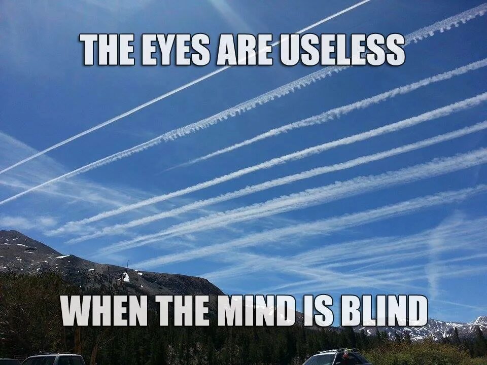 Песня chemtrails over the country. Chemtrails over the Country Club обложка. Chemtrails over the Country Club Cover. Chemtrails over the Country Club обложка альтернативная. Chemtrails meme.