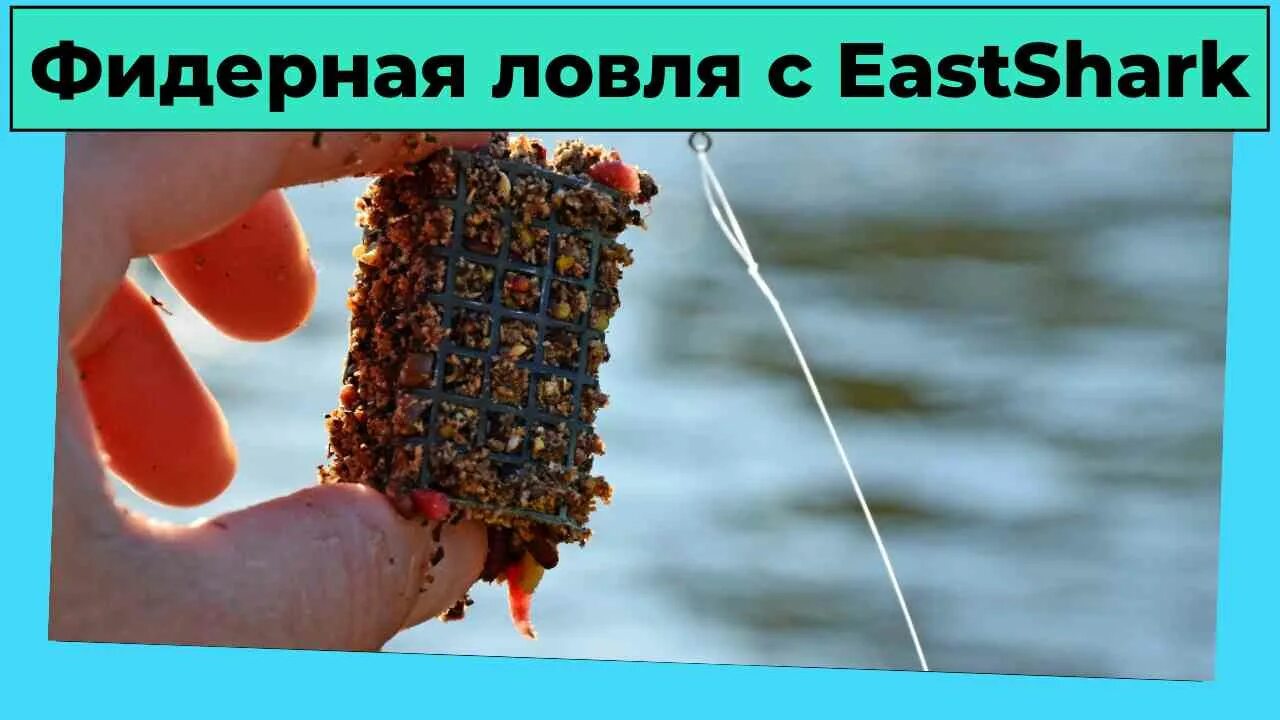 Как правильно закидывать кормушку