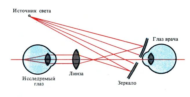 Ход лучей глаза человека. Физиология зрения человека. Ход лучей через глаз схема. Схема хода лучей через преломляющие среды глаза. Ход лучей в глазу.