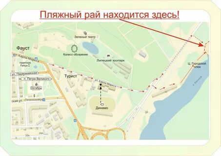 Где в липецке принимает