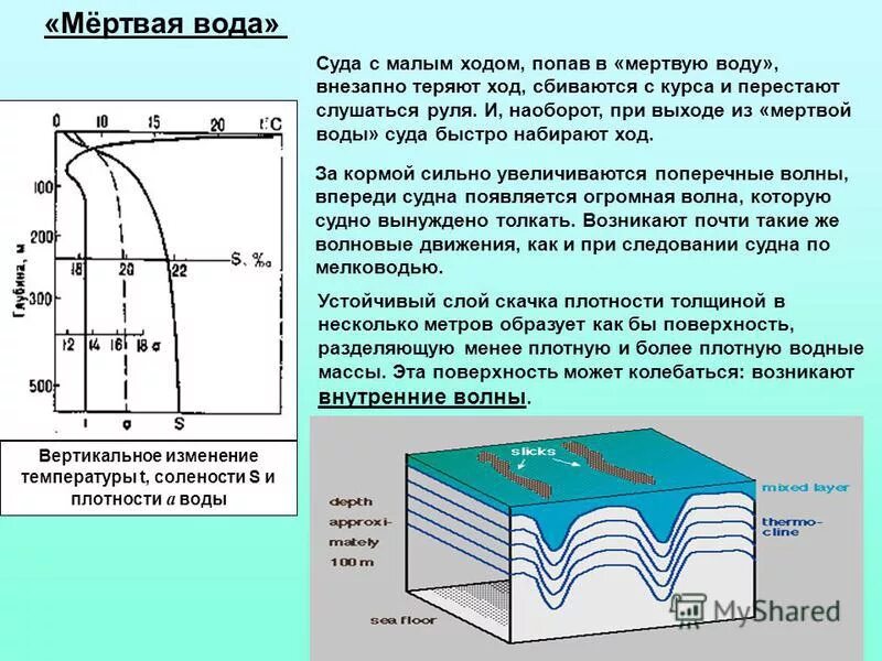 Как изменяется температура воды с глубиной. Слой скачка в море. Плотность воды в океане. Вертикальный профиль температуры. Слой температурного скачка в озере.