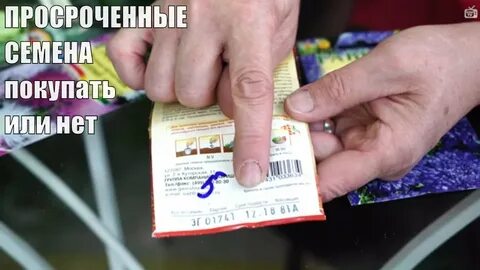 Можно ли брать семена
