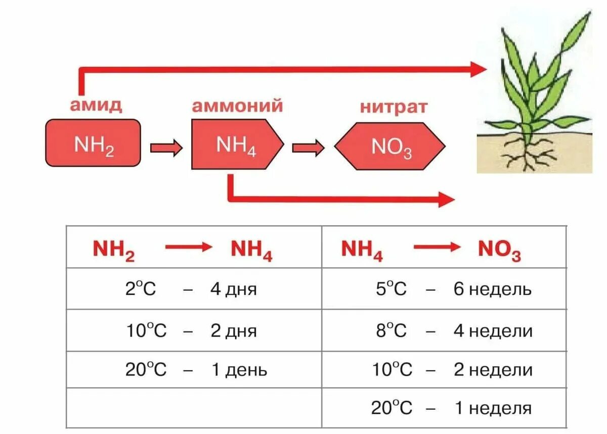 Азотные минеральные удобрения. О чём нужно знать садоводу (не о дозах) Сельский 