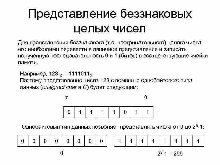 8 разрядном формате. Представление чисел в компьютере представление целых чисел. Знаковое представление чисел в компьютере. Беззнаковое представление чисел. Представление беззнакового целого числа.