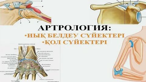 Фильмдердегі атақты адамдарды мастурбациялау