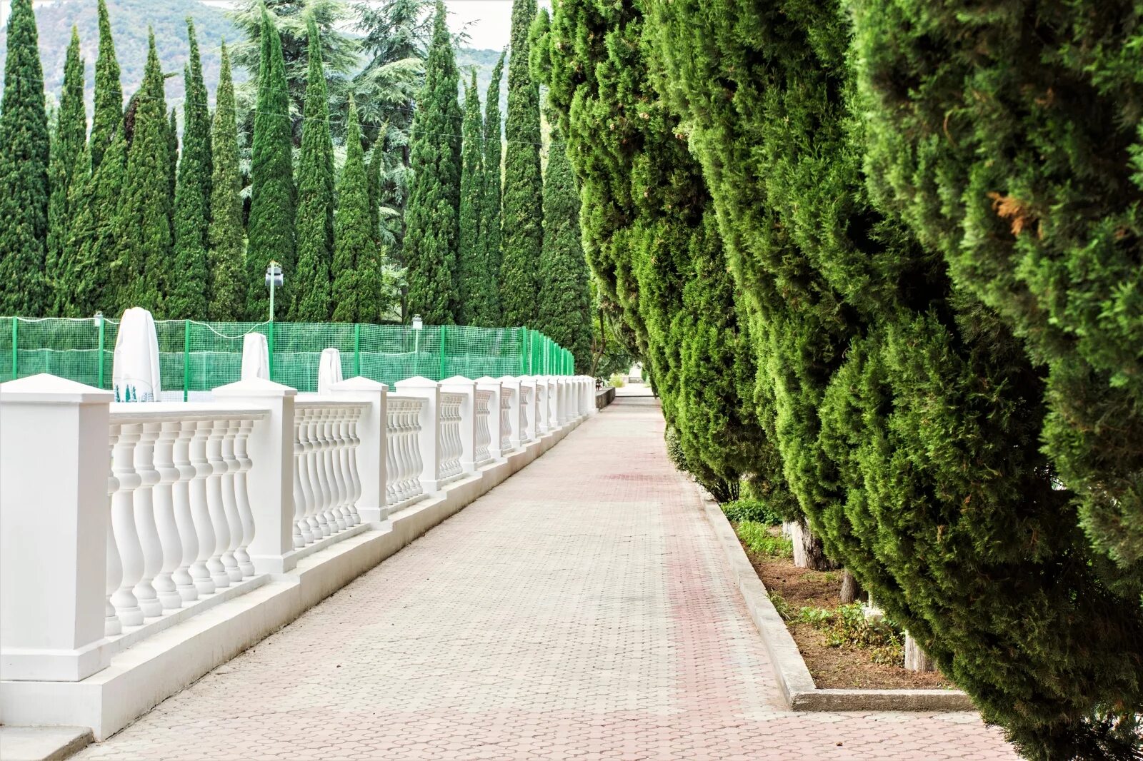 Санаторий Алуштинский в Алуште. Город Алушта санаторий Алушта. Санаторий "Алуштинский" г. Алушта. Территория санатория Алушта. Санаторий алушта телефон санатория