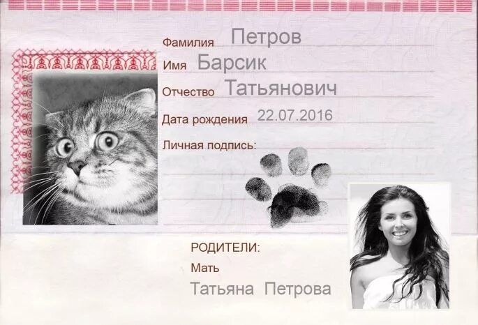Фио в именительном падеже образец. Придумать фамилию и отчество. Придумать фамилию и отчество. Придумать фамилию и отчество. Придумать фамилию и отчество.