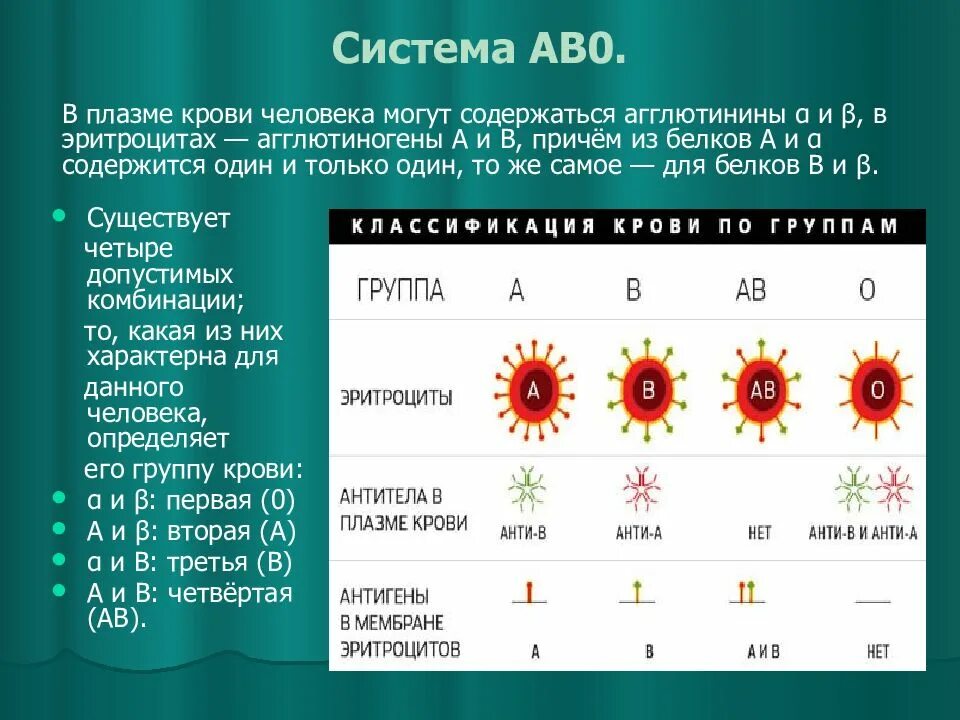 Система ab0 группы крови. Система крови ab0. Ab0 группа крови. Группы крови по системе ab0. Система аво и резус