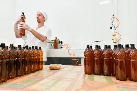 Когда начинают продавать квас