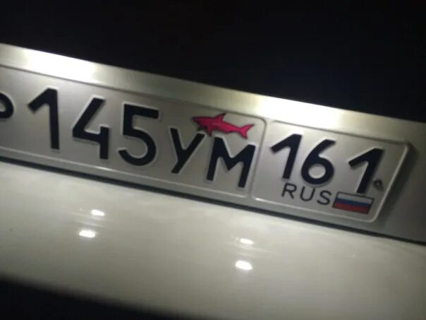 Акула на номере автомобиля что. Наклейка акула на номер авто. наклейка акулы на гос номер. наклейка акула на номер. акула паул шарк наклейка.