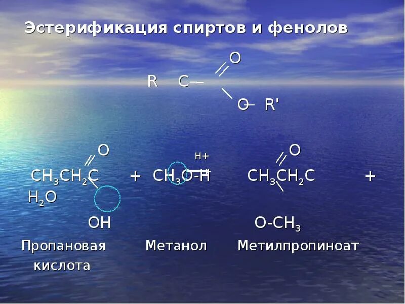 Пропановая кислота и метанол. Пропеновая кислота и метанол.