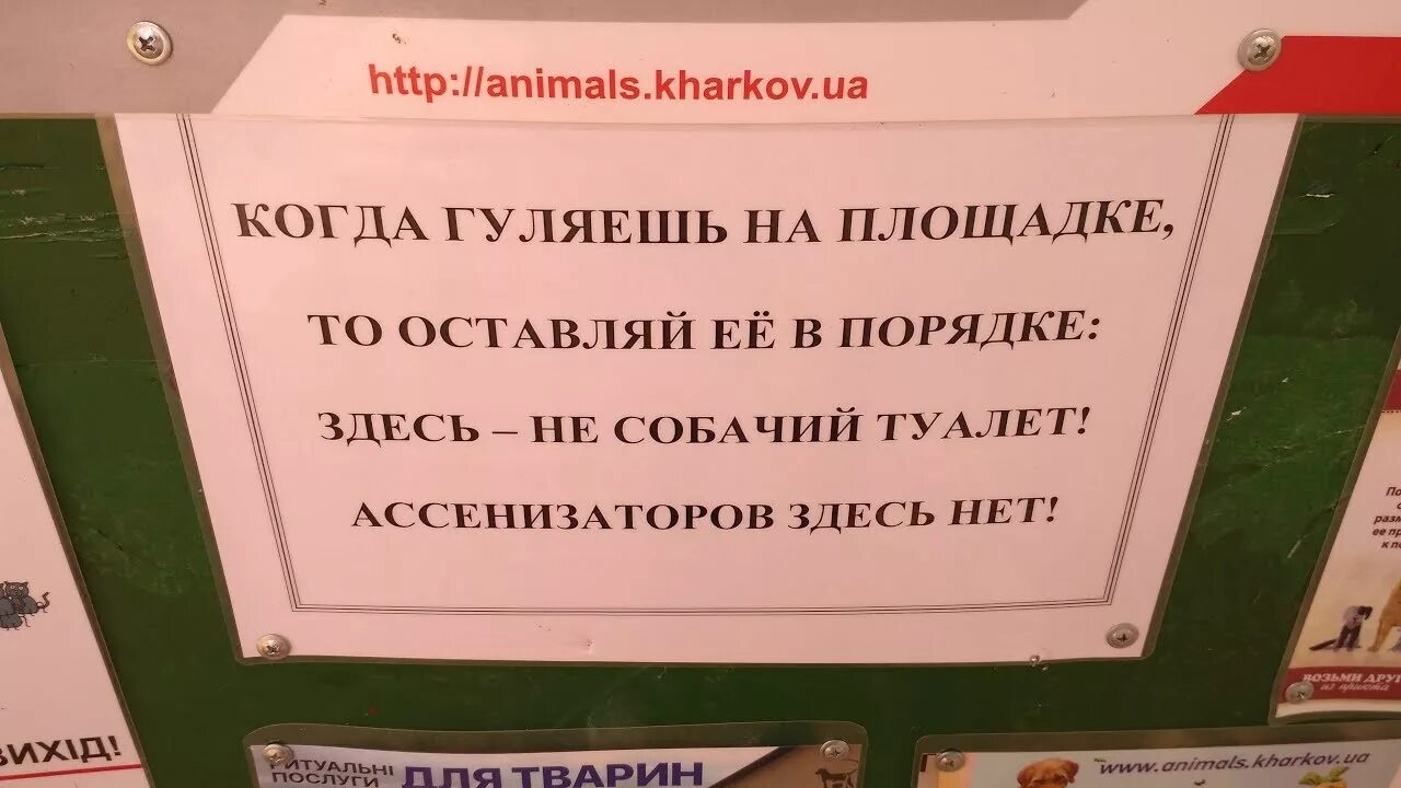 Убери какашки. Объявления для собачников по уборке территории. объявление для собачников по поводу уборки. объявление по собакам про уборку какашек. убери для за собакой инструкция.