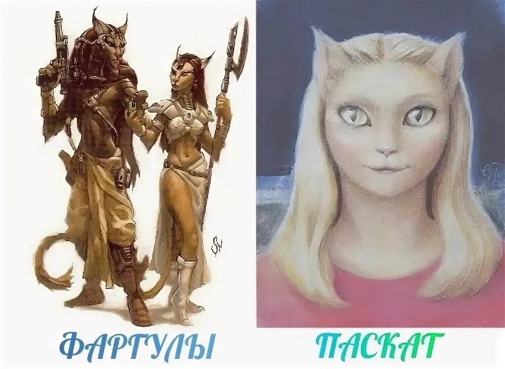 Паскаты. Паскаты с сириуса. раса с сириуса паскаты. раса кошек паскаты. инопланетяне с сириуса паскаты.