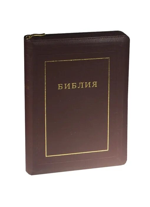 Российское библейское общество. Новое библейское общество. Учебная библия рбо. Русское библейское общество. Библейское общество москва.