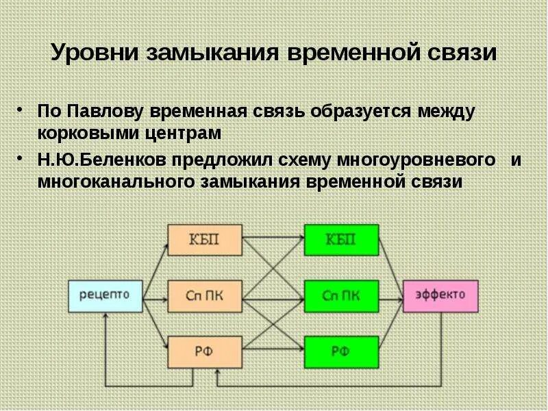Механизм образования временных связей. Временное предшествование idef3 пример. Виды временных связей. Формирование временной связи. Механизм образования временной связи физиология.