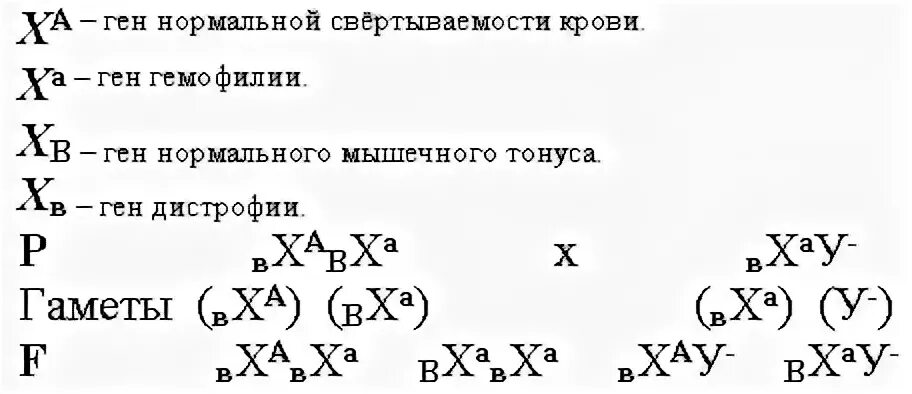 Гемофилия задачи по генетике. Ген гемофилии локализован в х хромосоме. Решение по генетических задач анемии. Задачи на гемофилию и дальтонизм