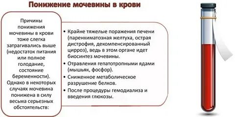 Определение мочевины выше нормы