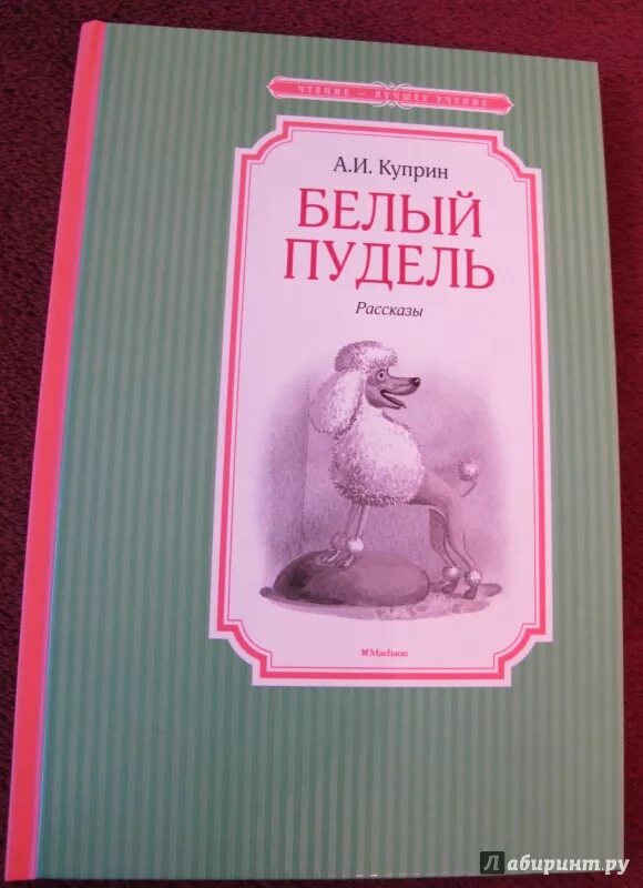 Читать рассказ пудель. Книга Куприна белый пудель. А. И. Куприн "белый пудель". Книга белый пудель (Куприн а.). Куприн белый пудель обложка книги.