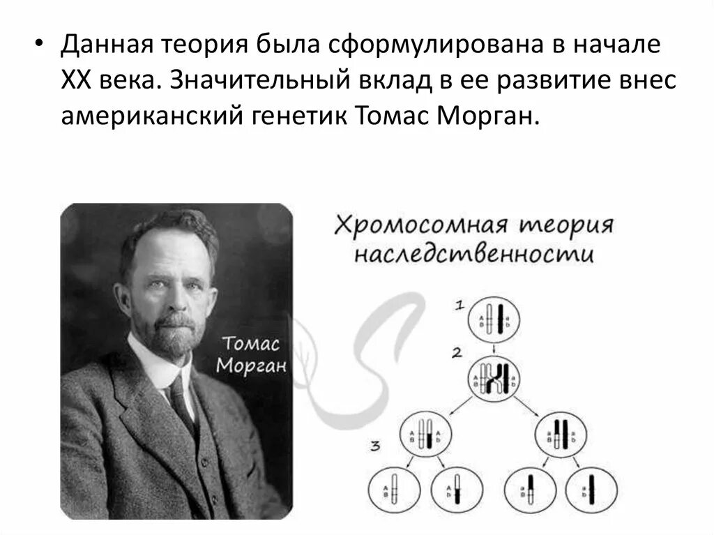 Автором хромосомной теории является
