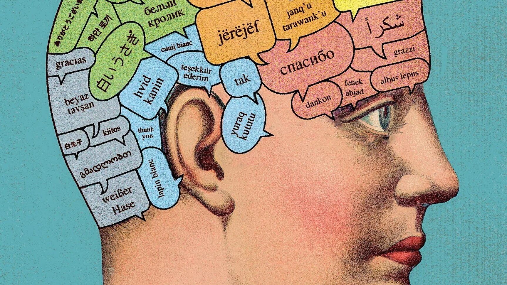 English brain. Мозг полиглота. Освоение языка. Психология иллюстрации.