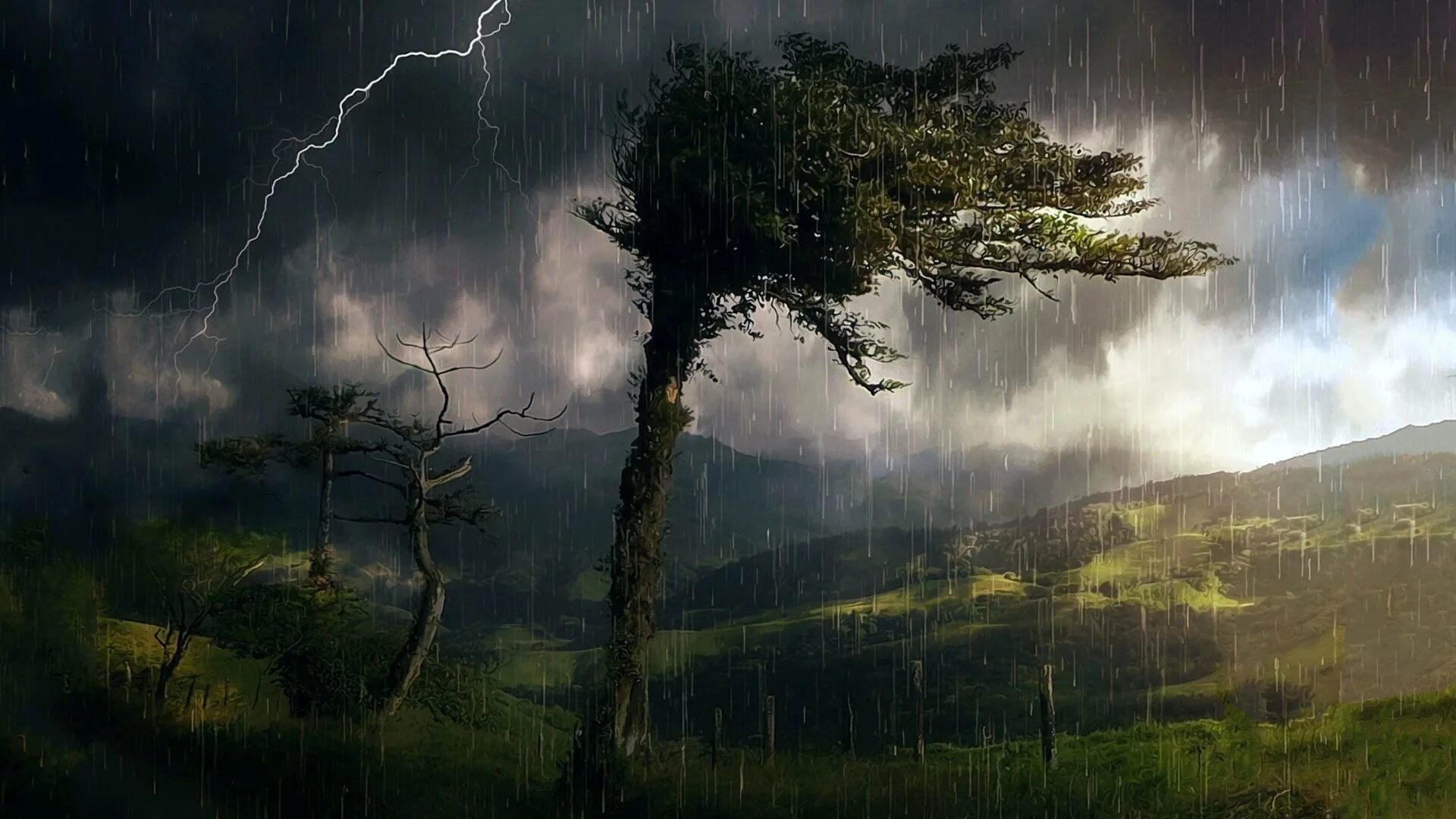 Raining tree. Raining tree
