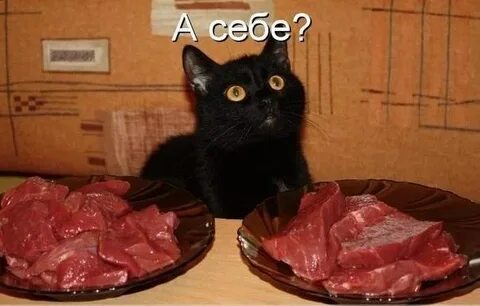 Как не есть в обед