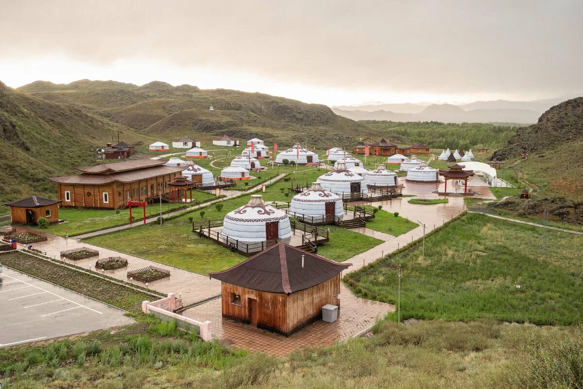 тыва субсидия. тыва субсидия. номер субсидии республики тыва. тыва субсидия. женщина доит корову.