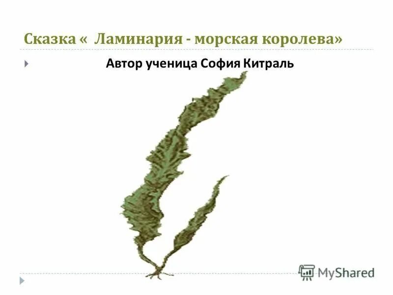 Коричневый цвет ассоциации с человеком. Бурая что это значит. Рассказ про коричневый цвет. Бурая что это значит. Бурая что это значит.