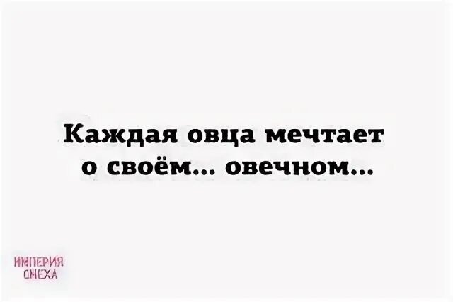 Каждая овца