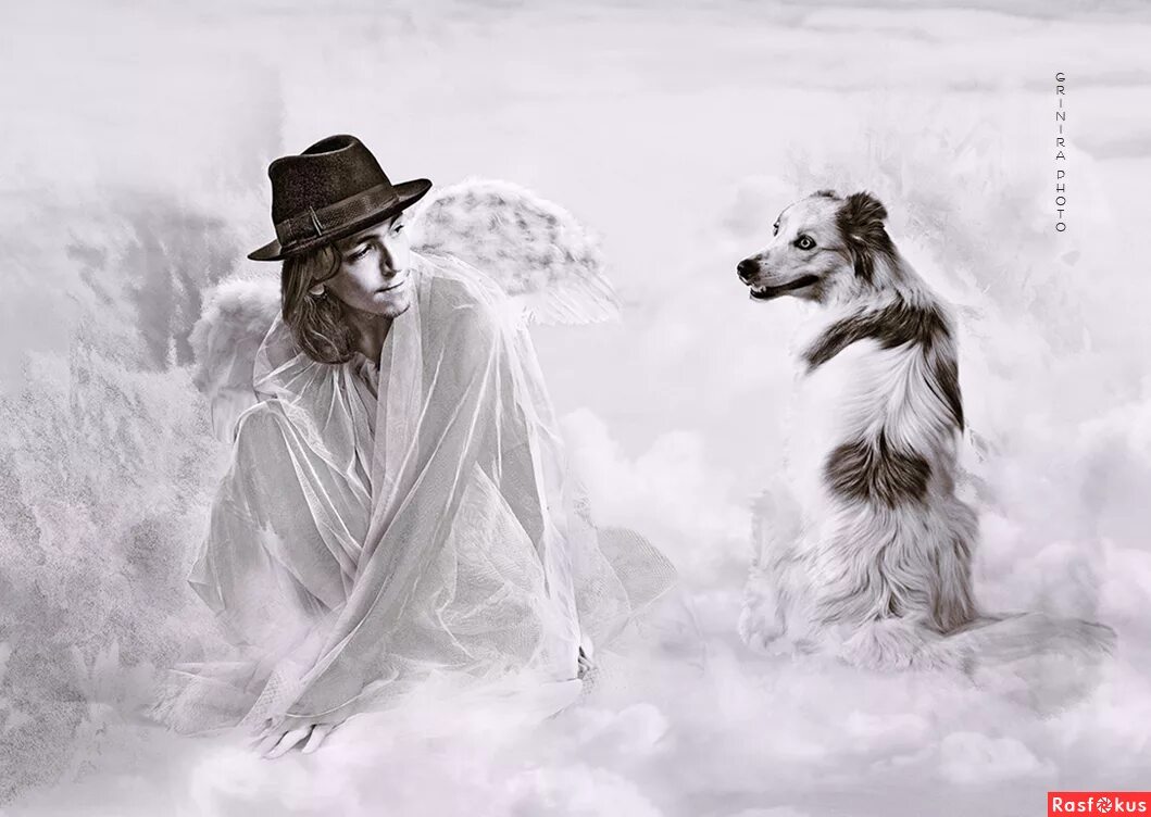 собака ангел хранитель. волк ангел. собака ангел живопись. ангел хранитель астафьев. собака ангел.