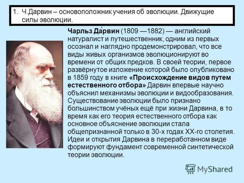 Теория естественного развития